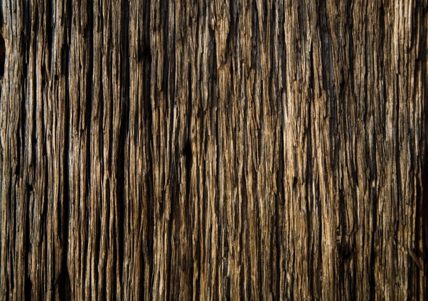 wood texture background, woodtexture,background,texture,wood