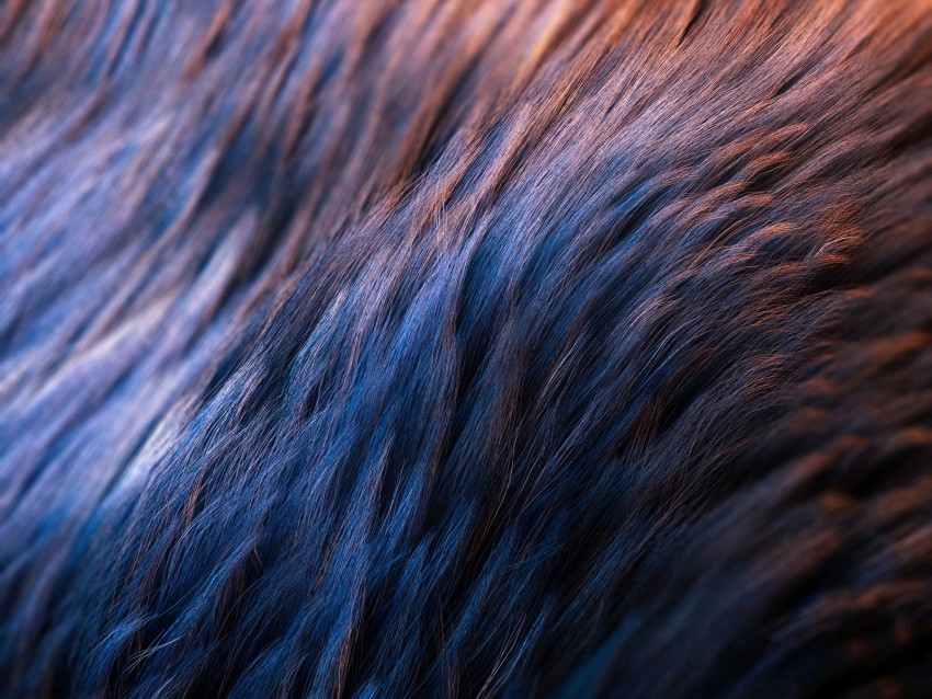 wool, texture, surface, macro, closeup