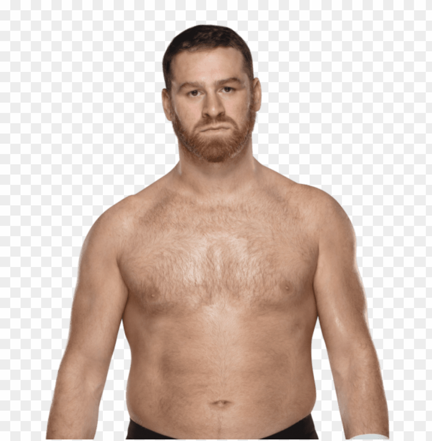 wwe sami zayn