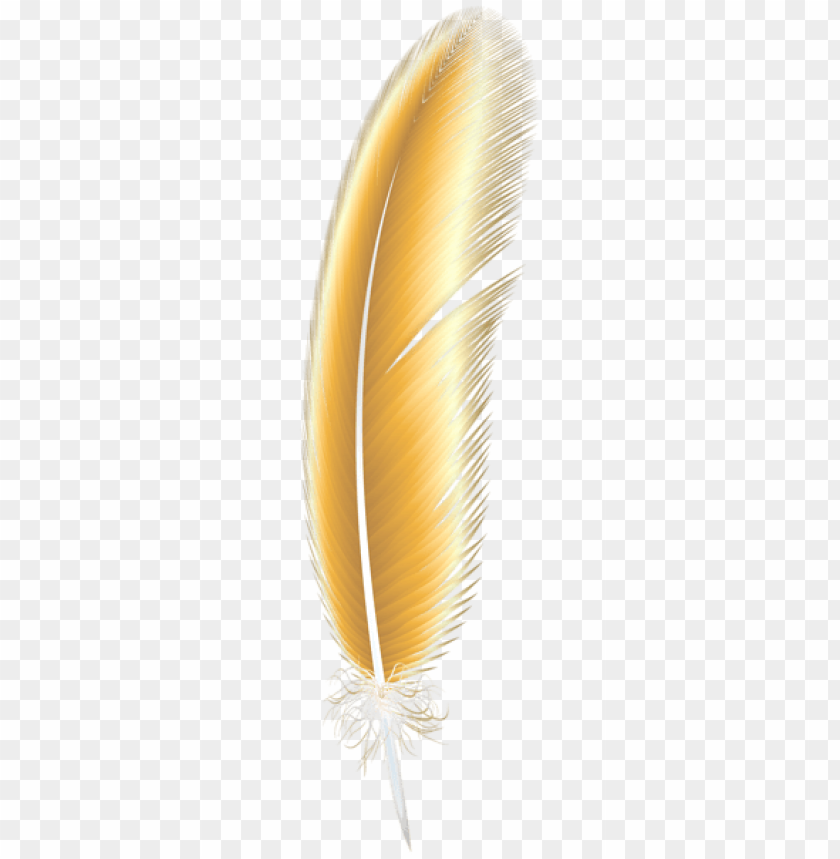 yellow feather png