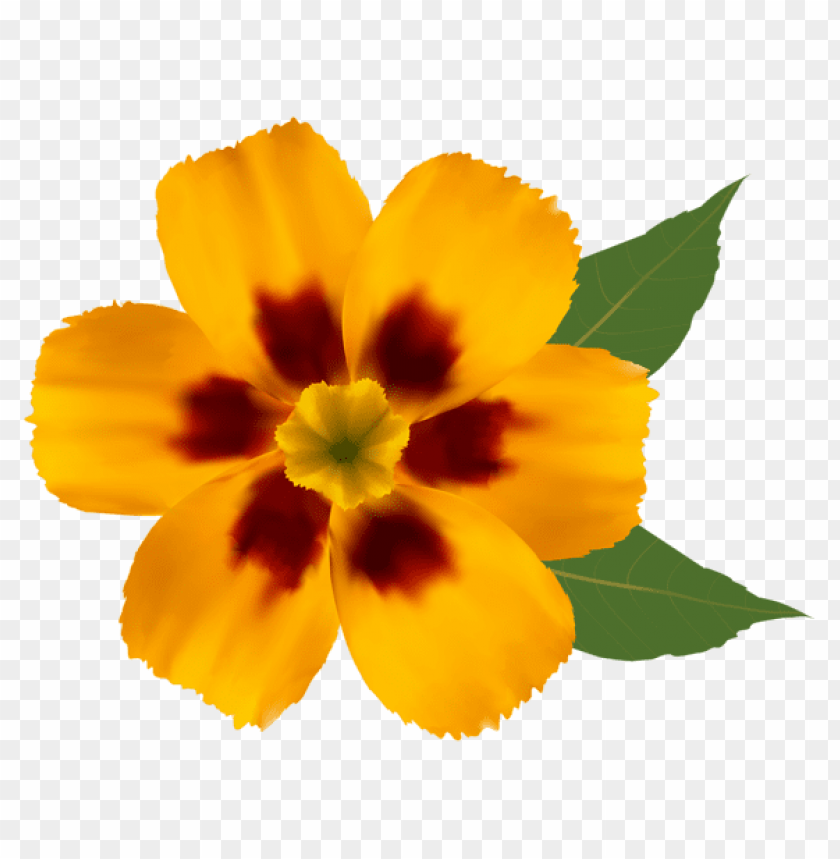 yellow flower