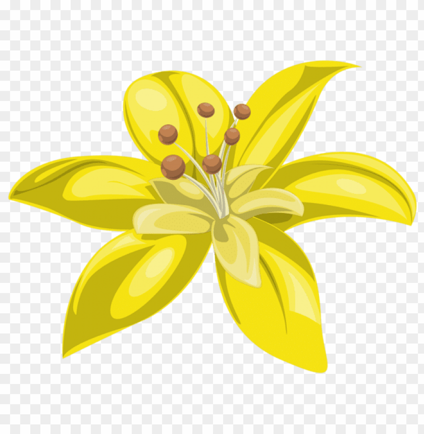 yellow flower