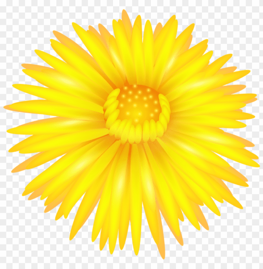 yellow flower