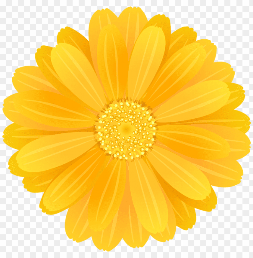 yellow flower