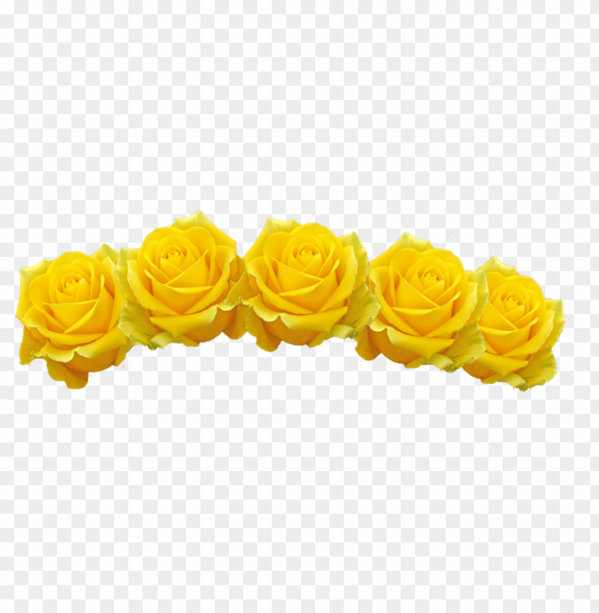 yellow flower crown transparent, crown,yellowflower,flowercrown,transparent,yellow,transpar