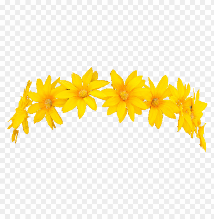 yellow flower crown transparent, crown,yellowflower,flowercrown,transparent,yellow,transpar