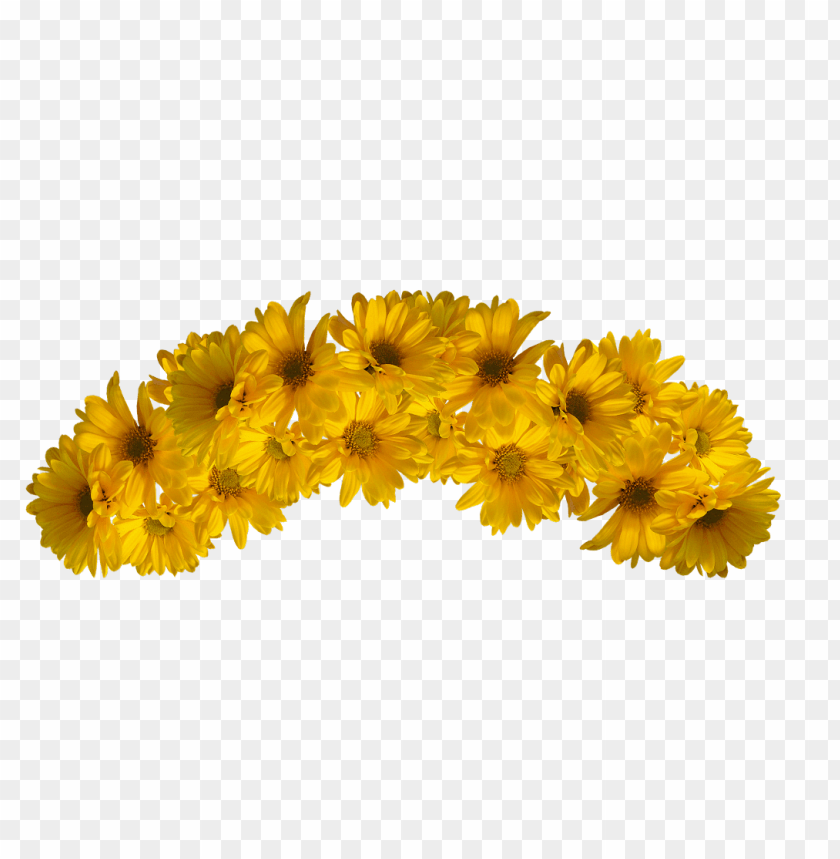 yellow flower crown transparent, flower,transparent,yellow,flowercrown,transpar,crown