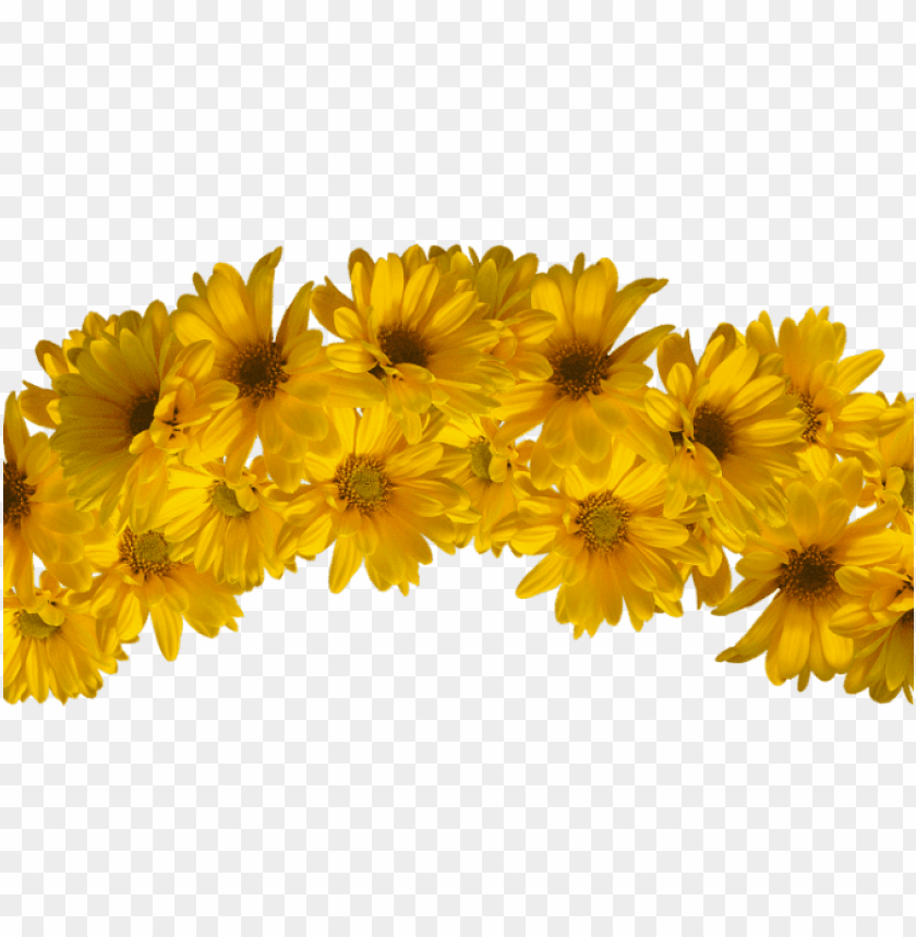 yellow flower crown transparent, flower,transparent,yellow,flowercrown,transpar,crown