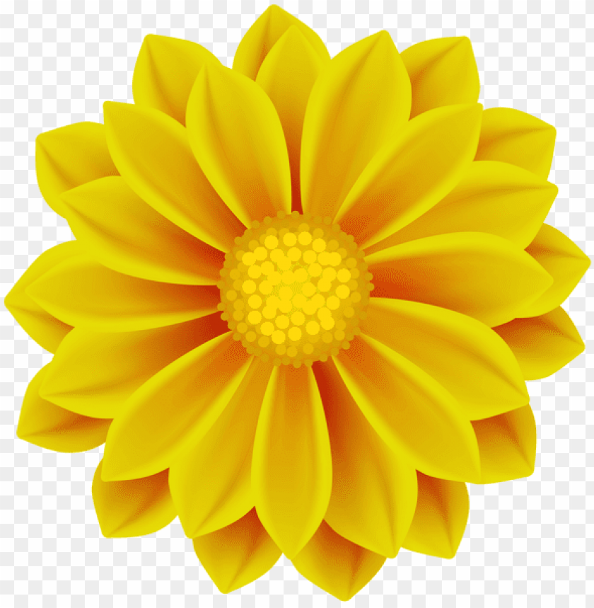 yellow flower png