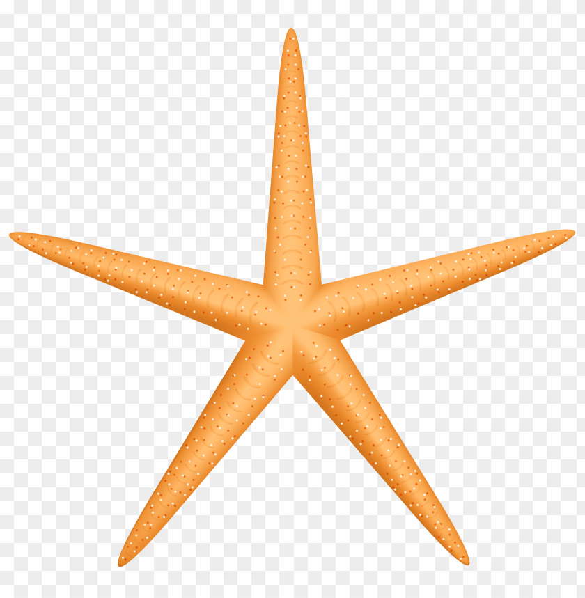 starfish, yellow