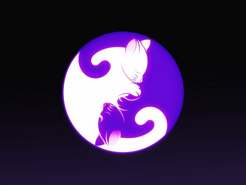 Yin And Yang Yin Yang Cat Harmony Background