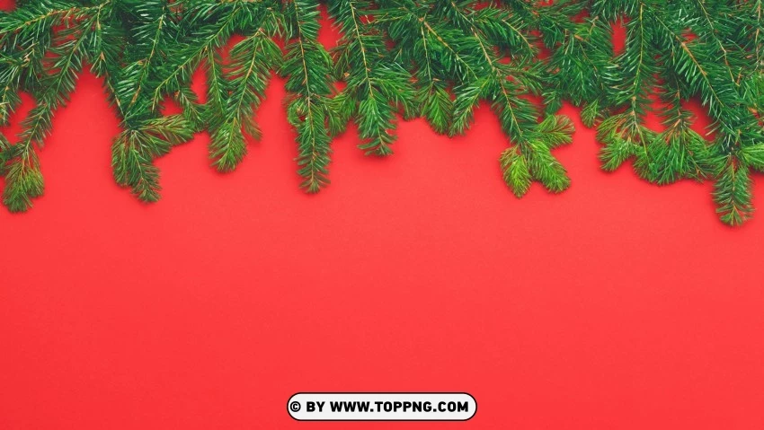 Yuletide Joy Red Green Pine Branches PNG Transparent Background