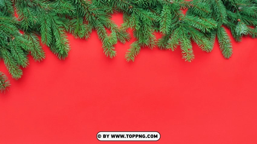 Yuletide Spirit Wallpaper Red Green Pine Branches PNG Transparent Background