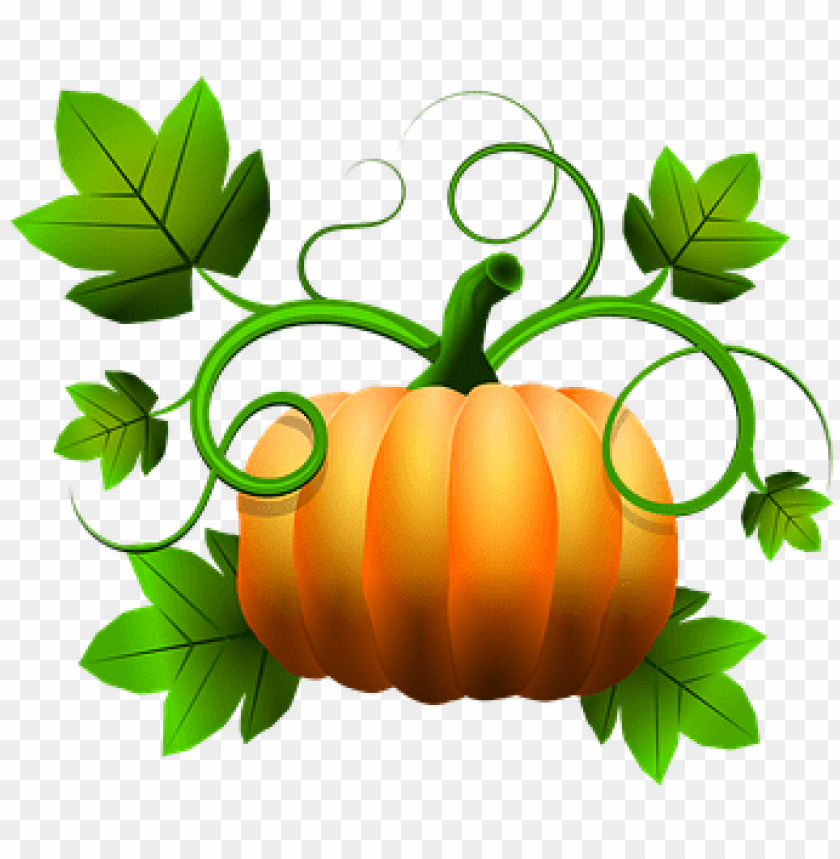 halloween party, halloween candy, halloween border, scary pumpkin, halloween ghost, thanksgiving pumpkin