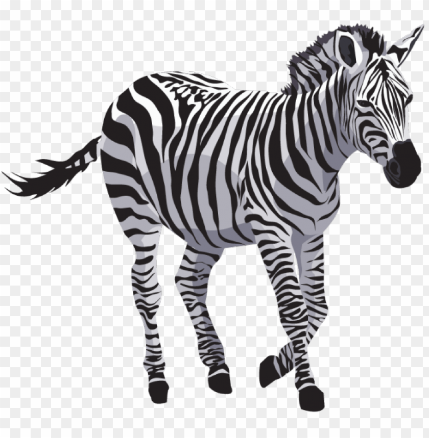 Animals, Zebras, Wildlife, African Creatures, Mammals