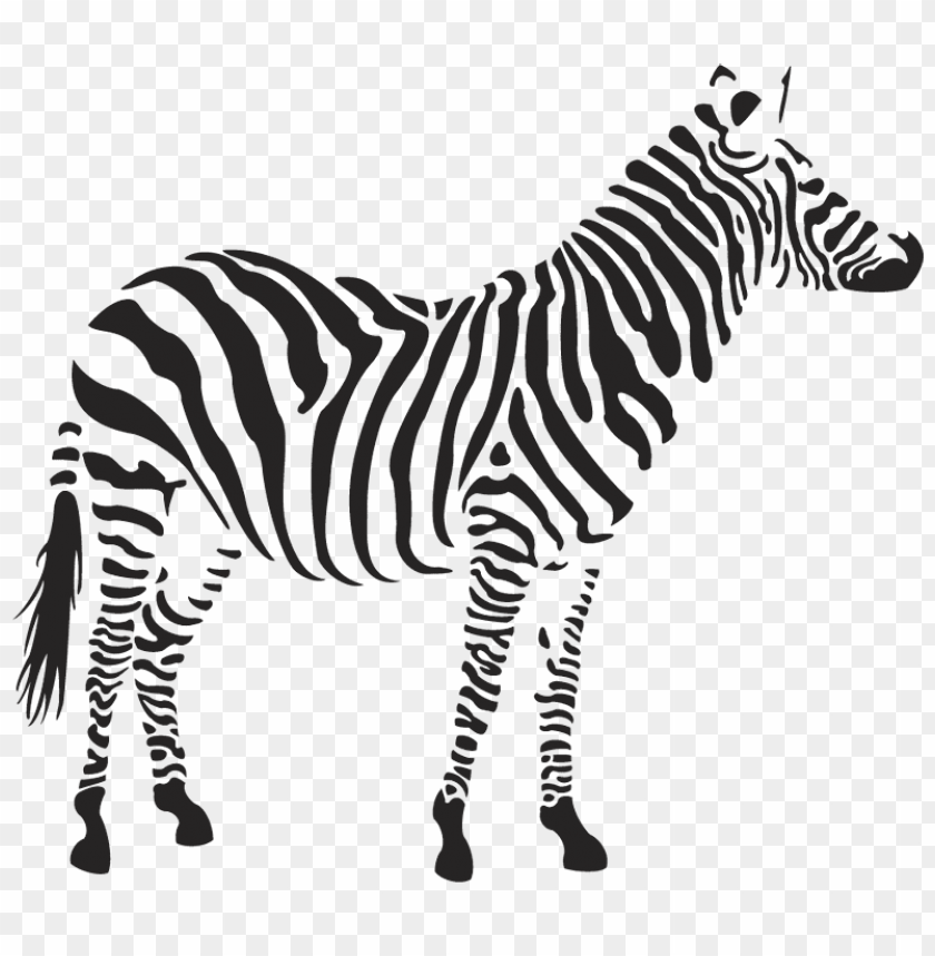 zebra,animals